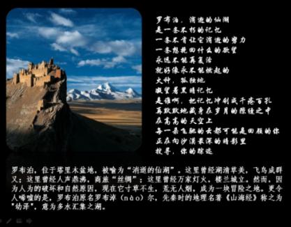 月光影视
